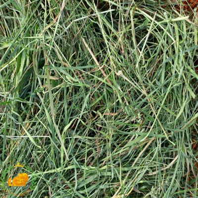 Royal Herbs - Seno Premium 500g