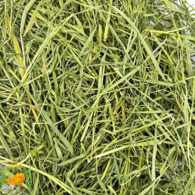 Royal Herbs - Bojínkové seno 500g